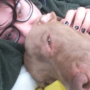 Meet your Posher, Adakias